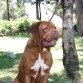 La tranquilidad no esta peleada con el instinto de guardia, Duna no deja espacio para estar siempre alerta al entorno.